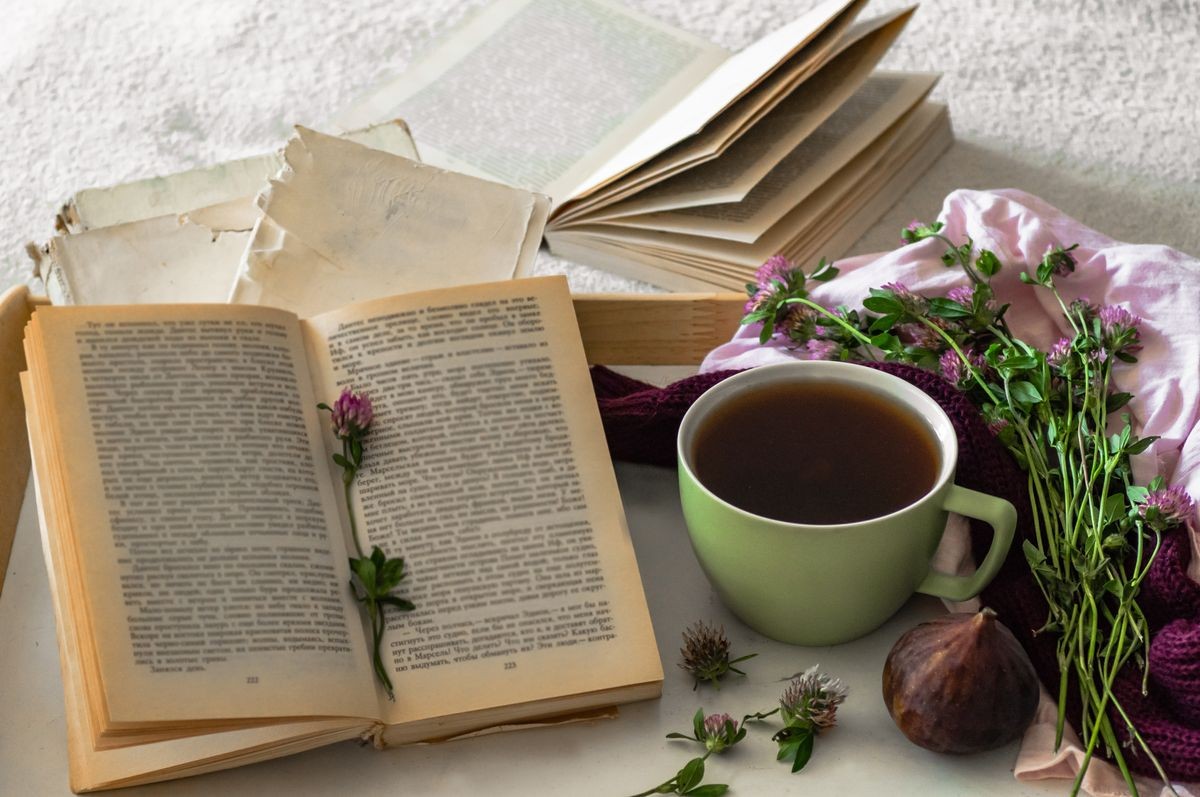 Composition of a cup of tea and opened book is not readable on a coffee table in the room, with figs and flowers of a clover. close up